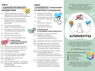Информация об алиментах и разделе лицевых счетов в судебном порядке для детей, оставшихся без попечения родителей